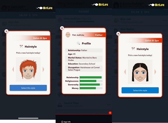 steps-to-become-a-hairdresser-in-bitlife