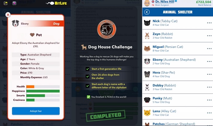 tasks-to-complete-in-the-dog-house-challenge-in-bitlife